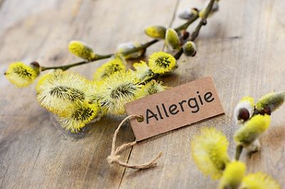 Allergie - Dr. med. Helge Armin Kyrberg